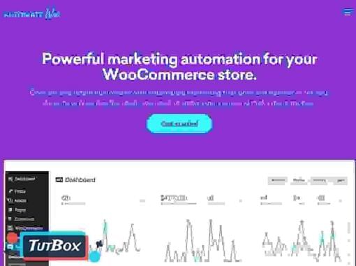 AutomateWoo download