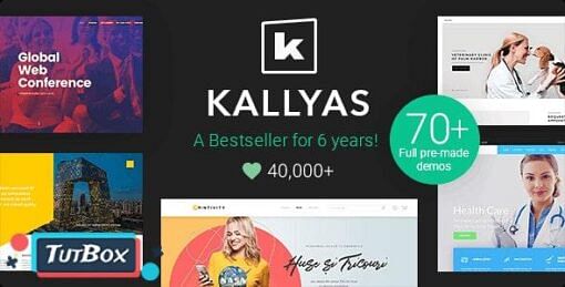 Kallyas Theme download