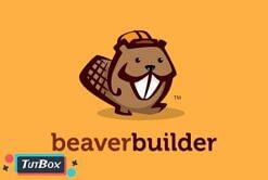 Beaver Builder Pro 2.4.2.2 (latest)