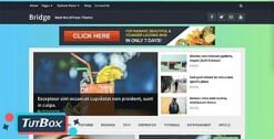 Bridge Theme 25.2 (latest)