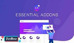 Essential Addons for Elementor Pro 5.4.5 (latest)