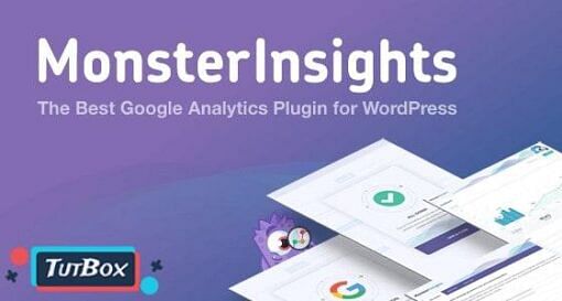 Monsterinsights Wp Download